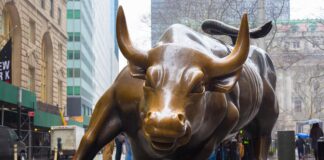 Hvad er et bull market?